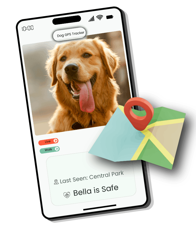 GPS TRACKER