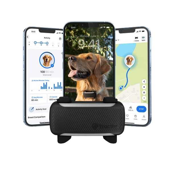 tractive smart dog 6 xl tracker live view (2) jukebox bg removed
