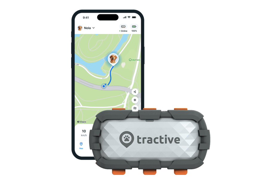 tractive smart dog adventure live view (1)