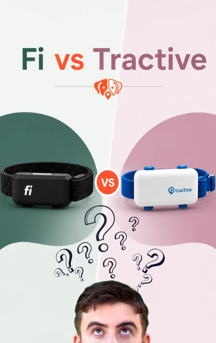 Fi vs. Tractive
